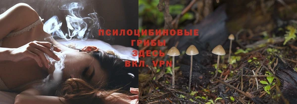 Альфа ПВП Армянск